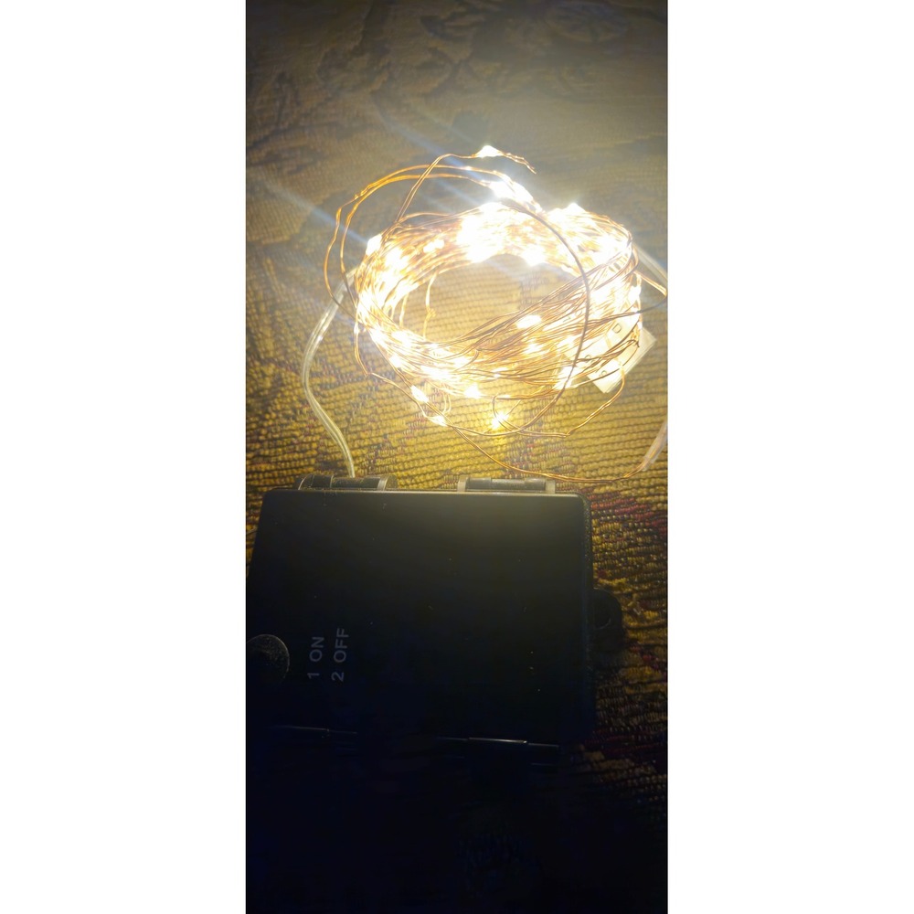 Hampton Bay LED Copper String Light 16 ft Indoor Outdoor Decoration